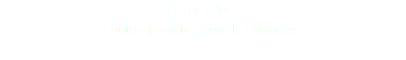 Fairy Tales
Ontwerp affiche gymgala Gymfinity